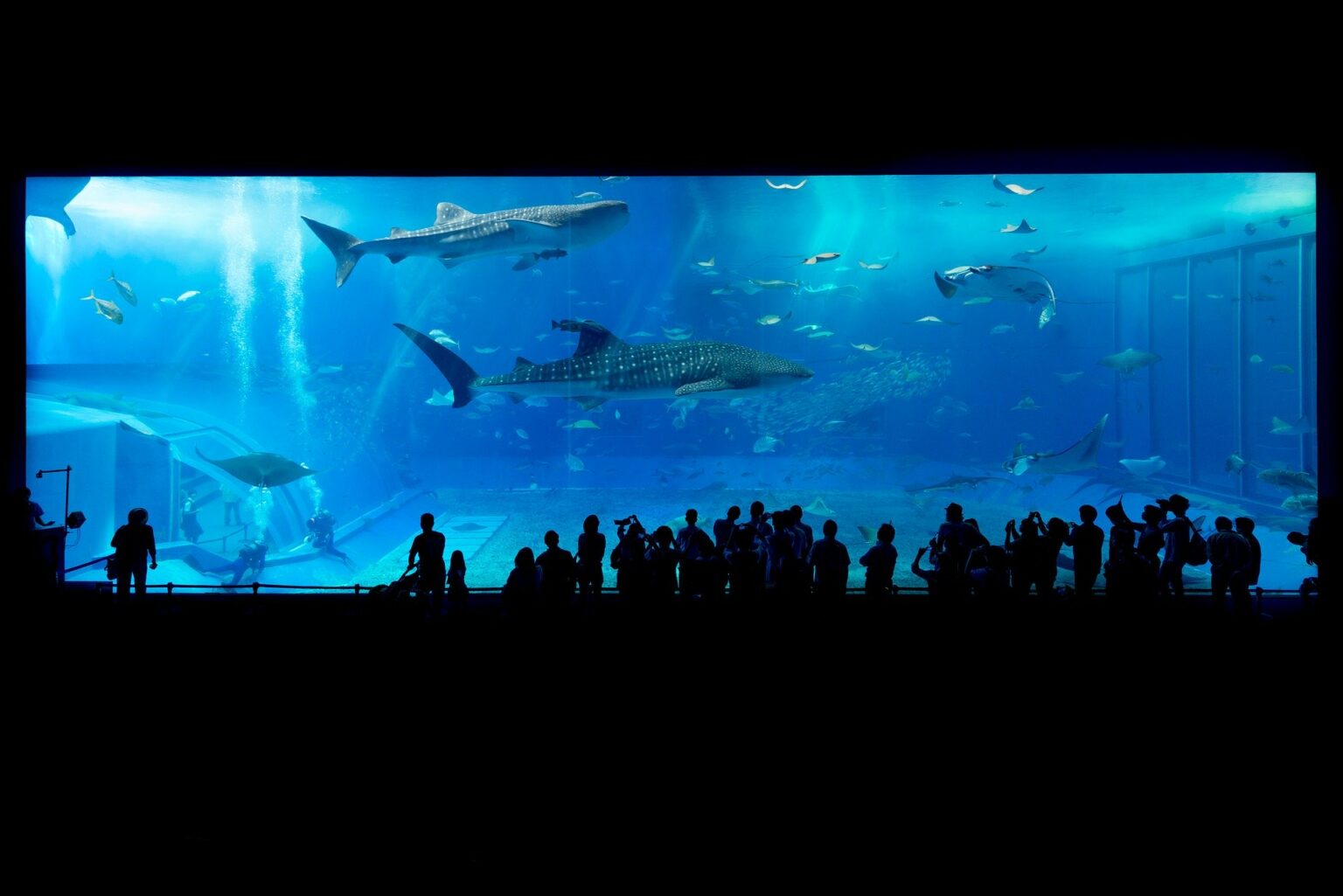 london virtual aquarium